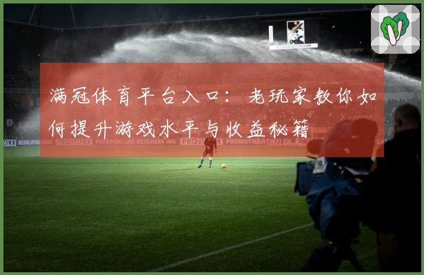 满冠体育平台入口：老玩家教你如何提升游戏水平与收益秘籍